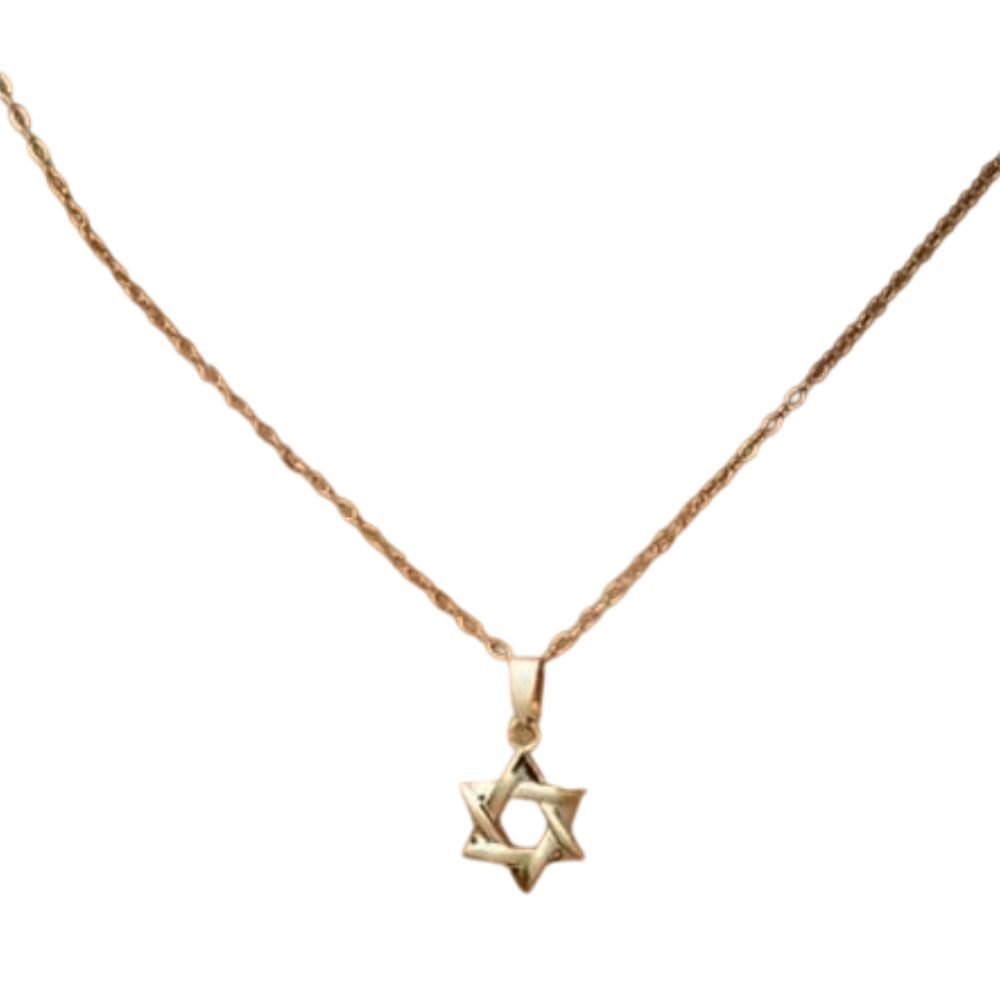 Suri Timeless Gold Star of David Necklace, 14K Plated Stainless Steel Jewelry